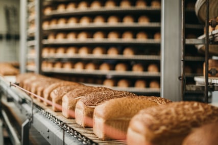 Bread on an assembly line.