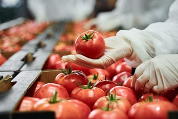 FoodLogiQ Q3 2026 Release: Smarter Food Safety & Supply Chain Workflows Featured Image