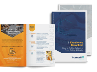 Excellence Unlocked eBook
