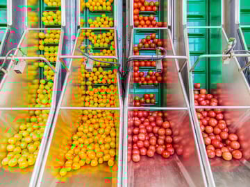 From Risk to Resilience: Smart Data and Digital Tools for Modern Food Distribution Featured Image