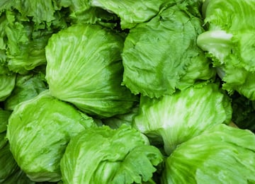 What a Cyclospora False Positive Teaches Us About Food Traceability Featured Image