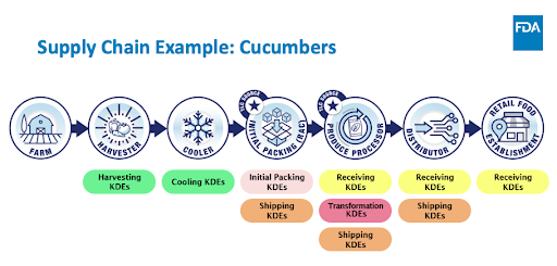 A comprehensive FSMA 204 supply chain traceability diagram illustrating the flow of Critical Tracking Events (CTEs) and Key Data Elements (KDEs) from farm to fork. The visual maps the July 20, 2028, compliance path for Food Traceability List (FTL) items, including Harvesting, Transformation, and Shipping events, and highlights the transition from manual records to a digital traceability thread.
