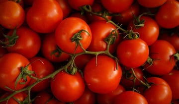 From Tomato Vine to Tomato Sauce: A Look into the Visibility Traceability Provides Featured Image