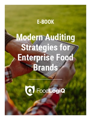 modern-food-auditing