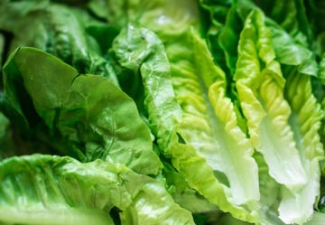 In Wake of Romaine Lettuce Recall, FoodLogiQ Calls Supply Chain Management and Food Traceability 