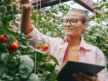 Why International Food Exporters Can’t Afford to Delay FSMA 204 Compliance Featured Image